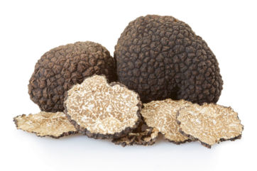 truffles-black truffle-Scorzone