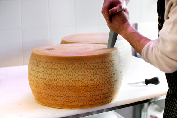 Grana Padano cheese wheel being cut. Lombardy cheese factory in Italy.