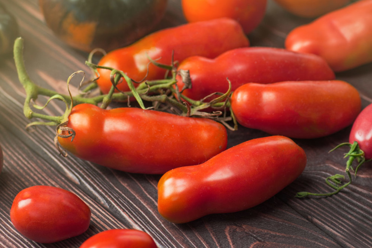 Anicav backs PGI certification for Pomodoro Pelato di Napoli