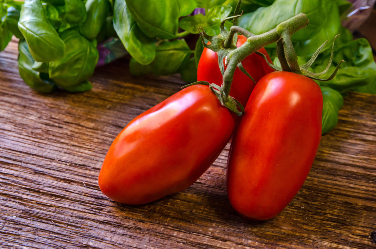 San Marzano: the red gold of Italian tables