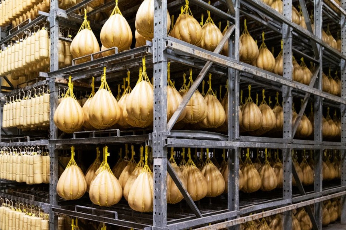 Provolone Valpadana PDO resumes promotion in Australian market