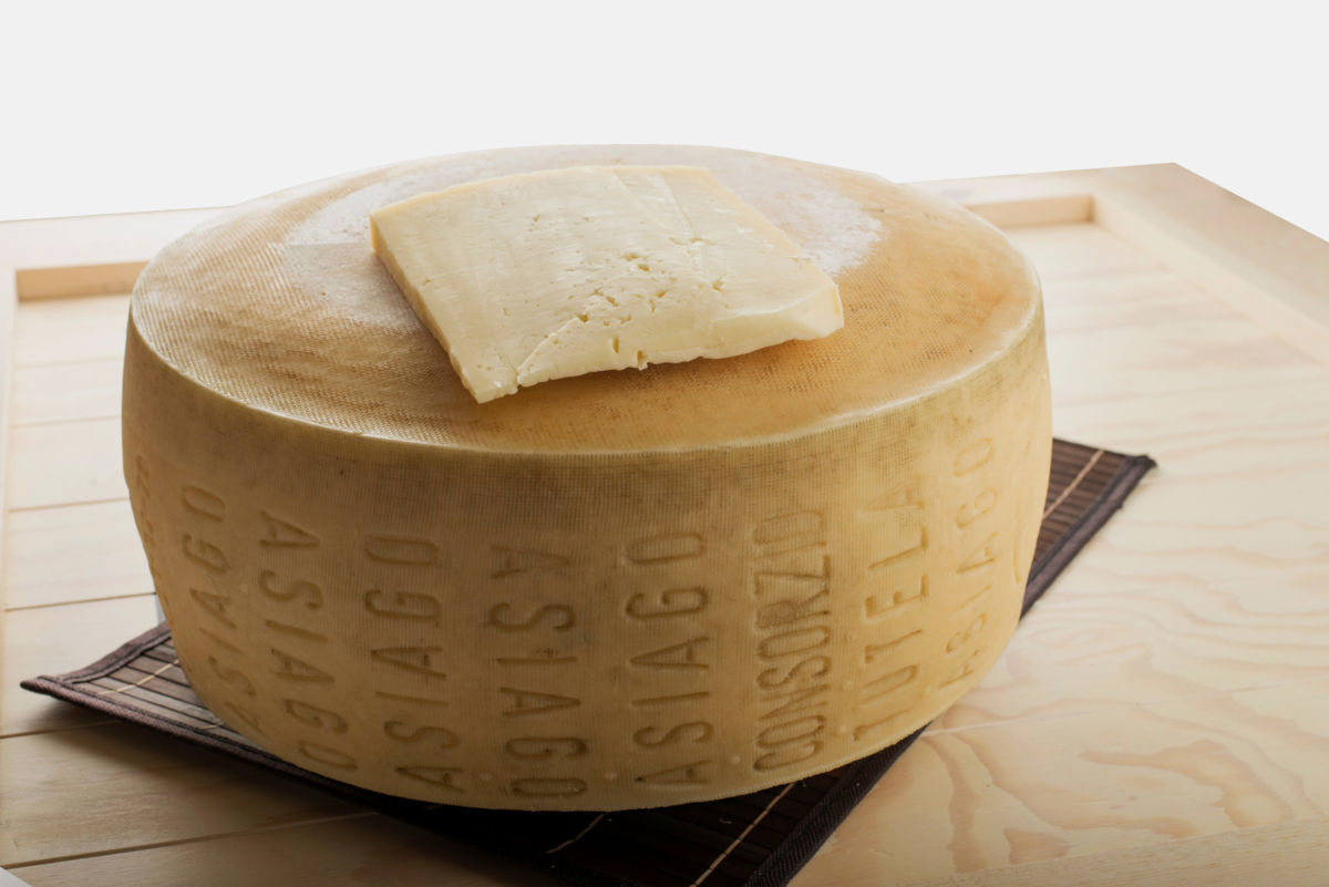 Asiago Pdo cheese, new projects